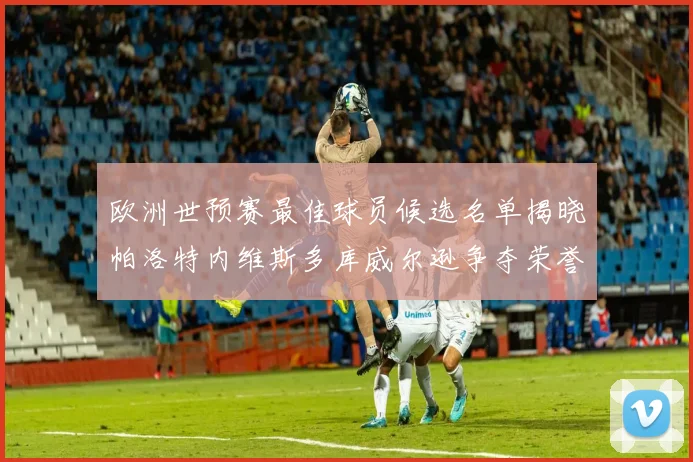 欧洲世预赛最佳球员候选名单揭晓帕洛特内维斯多库威尔逊争夺荣誉