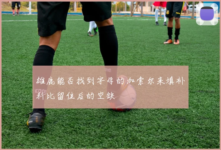 雄鹿能否找到字母的加索尔来填补科比留住后的空缺