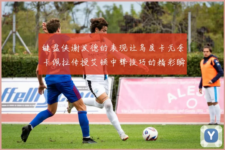 键盘侠谢泼德的表现让乌度卡无奈卡佩拉传授艾顿中锋技巧的精彩瞬间
