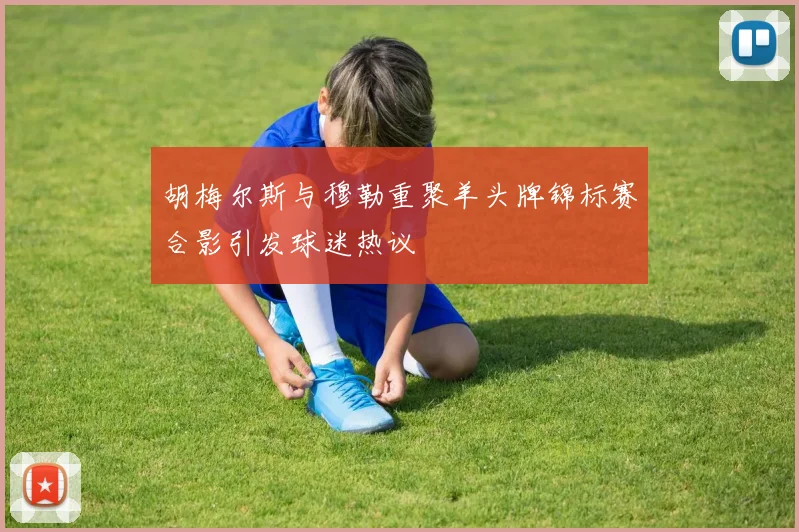 胡梅尔斯与穆勒重聚羊头牌锦标赛合影引发球迷热议
