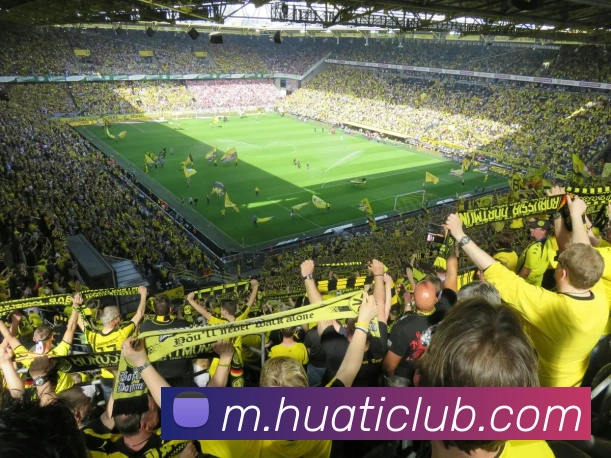 华体会体育平台生态图