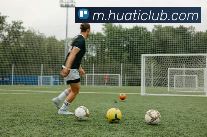 华体会体育全站App